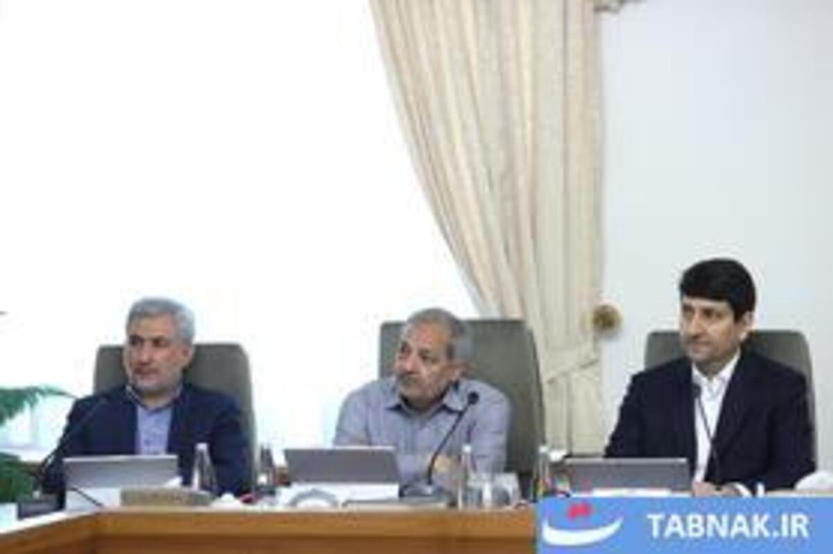 جلسه هیئت دولت با ریاست پزشکیان