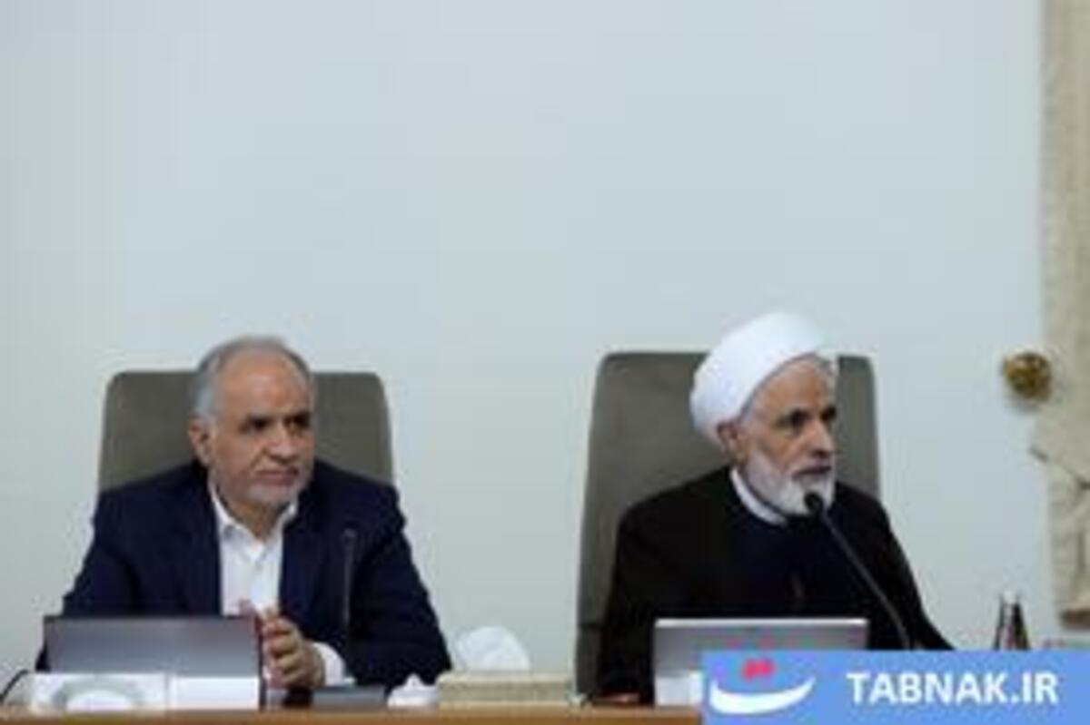 جلسه هیئت دولت با ریاست پزشکیان