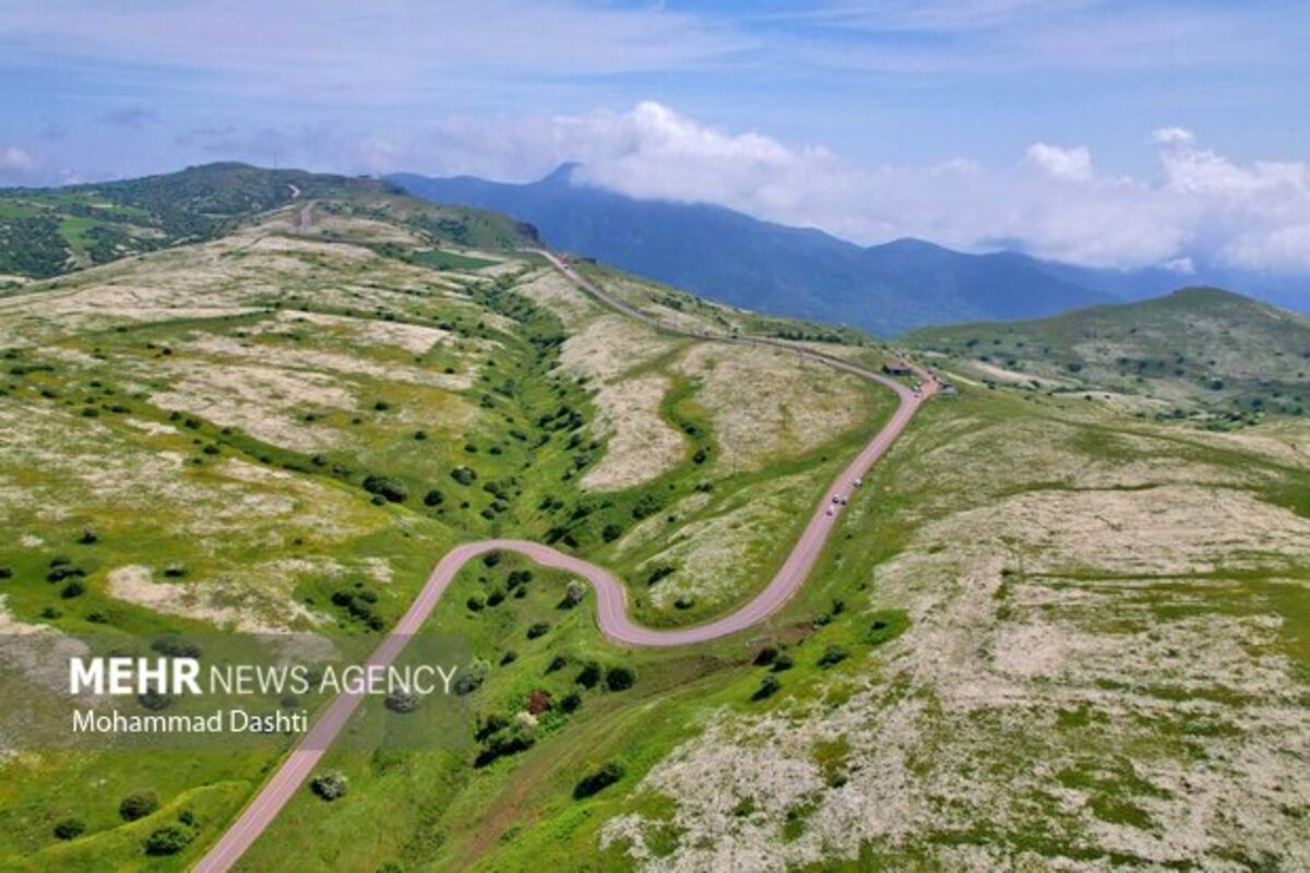 دشت گلهای بابونه جنگل فندقلو