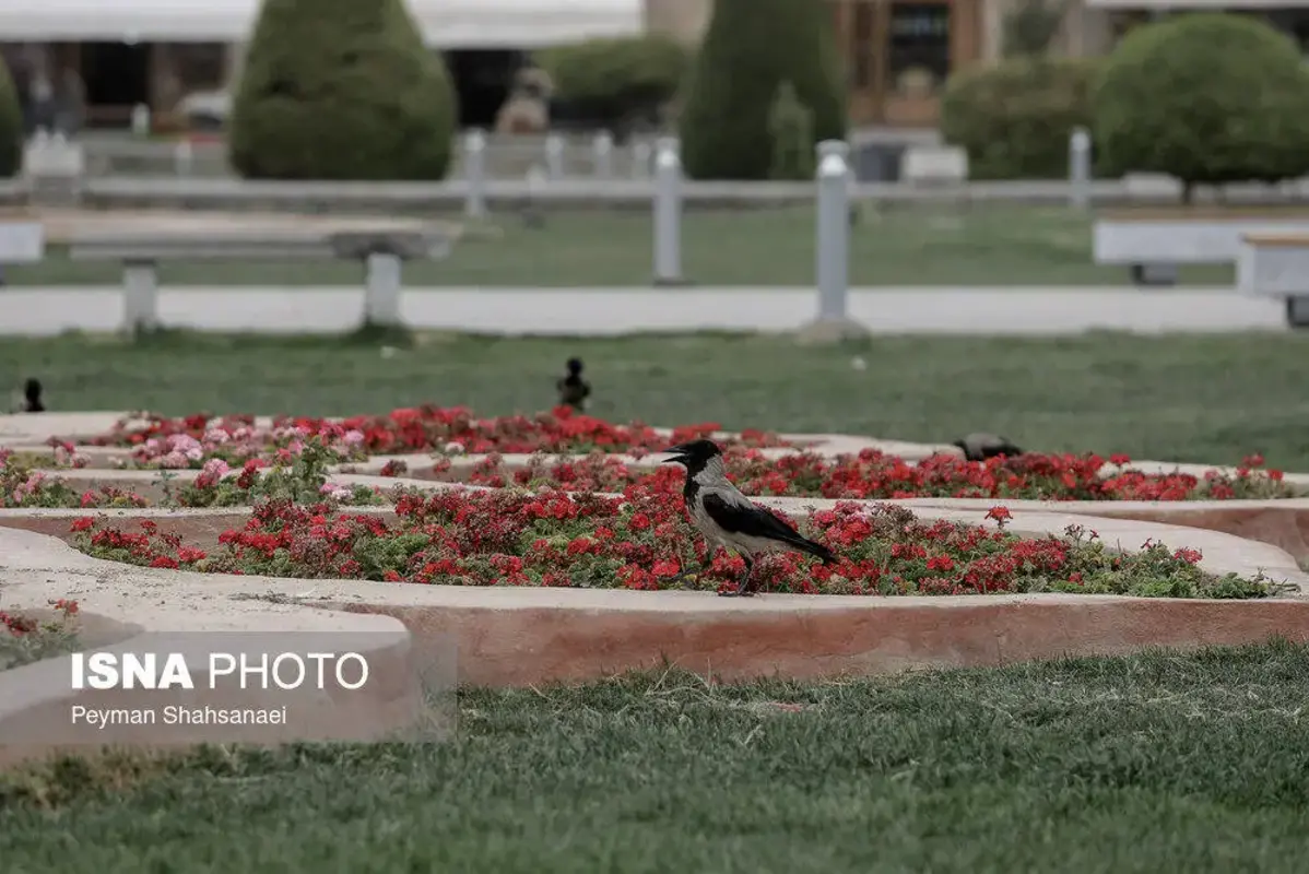 اصفهان در محاصره کانون‌های بحرانی گرد و غبار