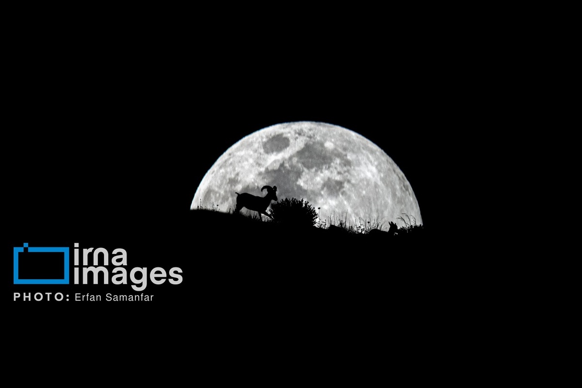 پارک ملی بمو در شیراز