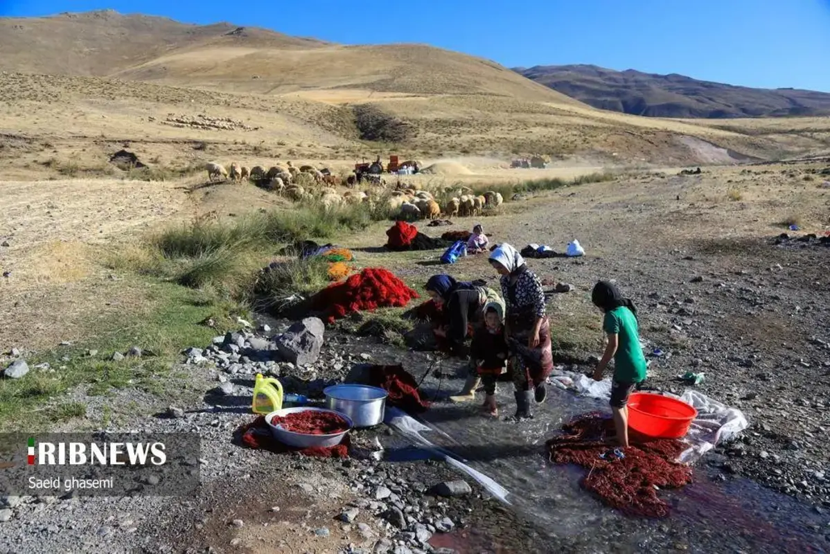 پشم شویی سنت کهن عشایر ارسباران