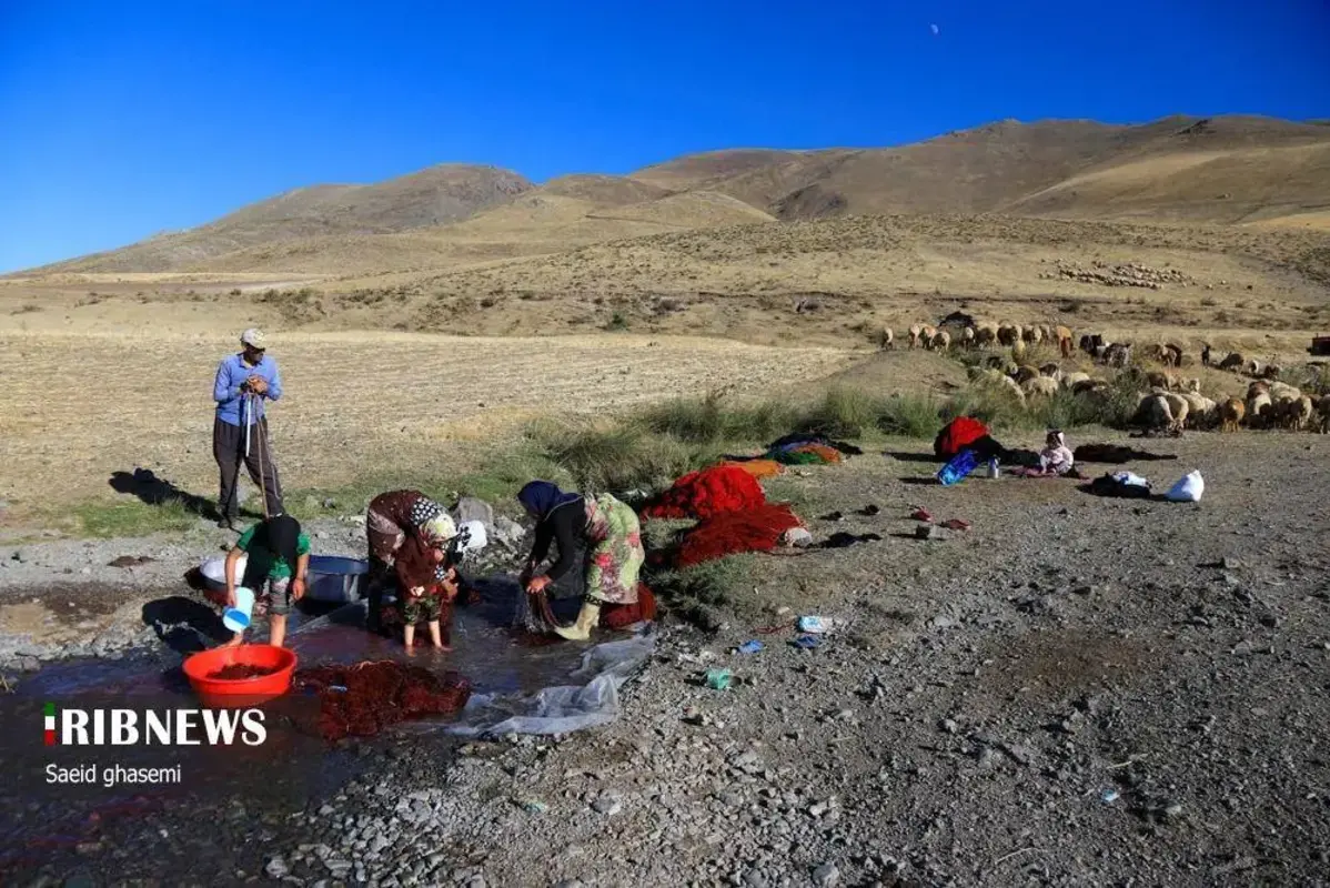 پشم شویی سنت کهن عشایر ارسباران