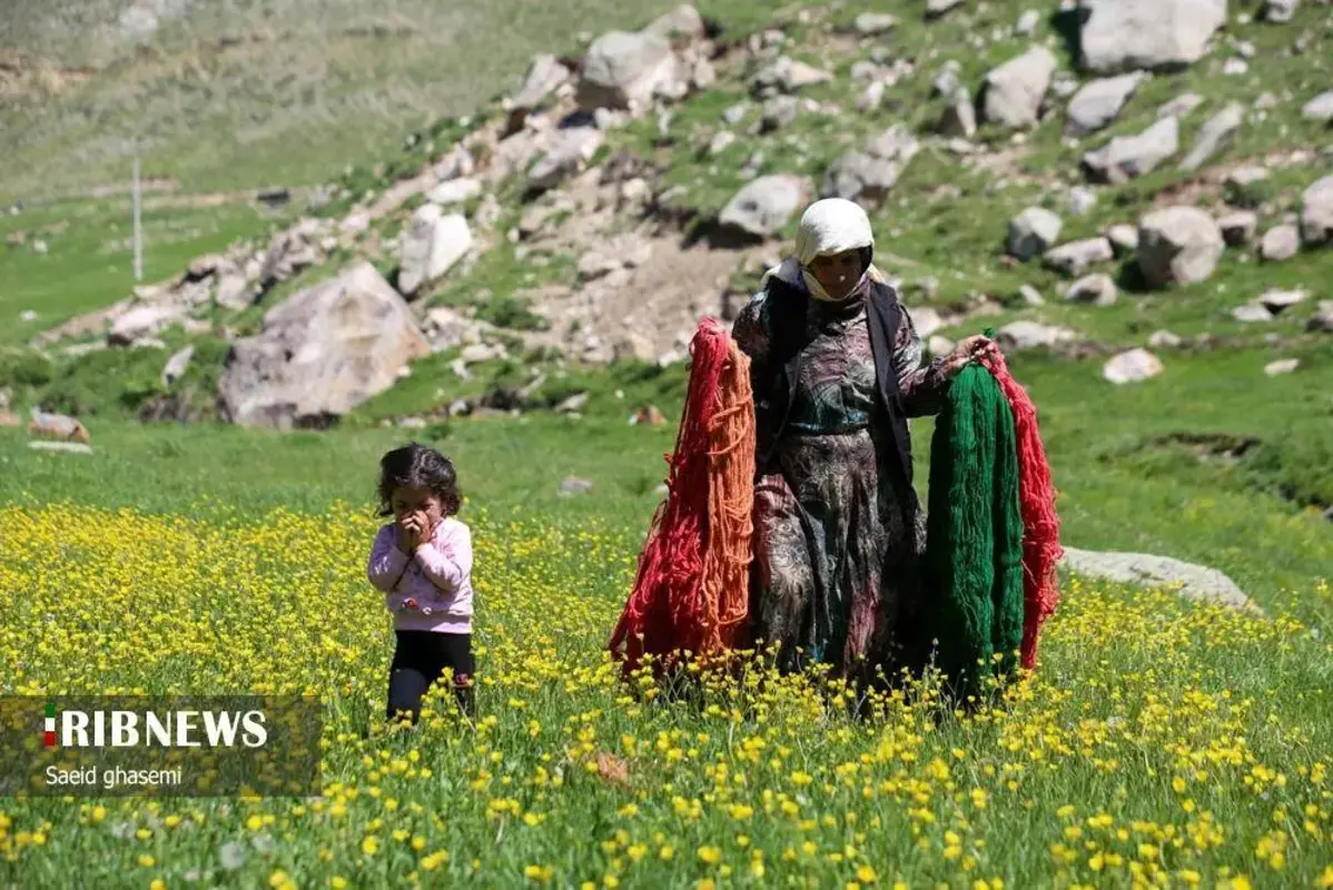 پشم شویی سنت کهن عشایر ارسباران