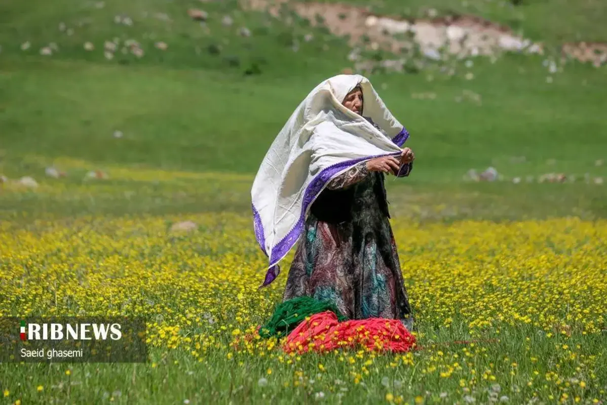 پشم شویی سنت کهن عشایر ارسباران