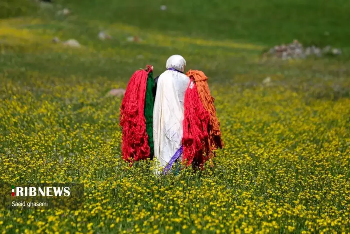 پشم شویی سنت کهن عشایر ارسباران