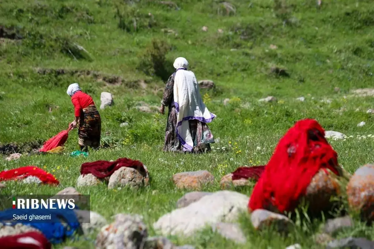 پشم شویی سنت کهن عشایر ارسباران