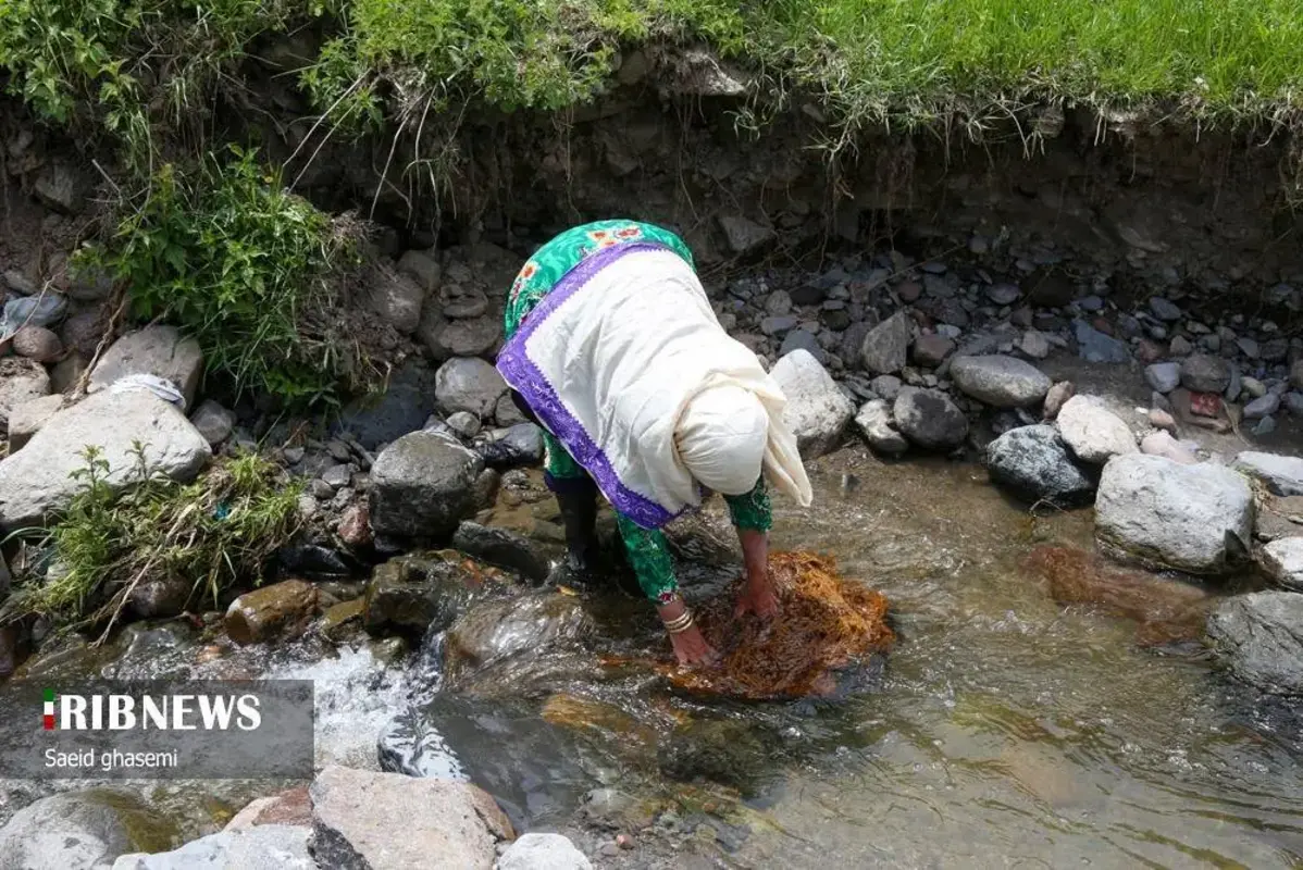 پشم شویی سنت کهن عشایر ارسباران