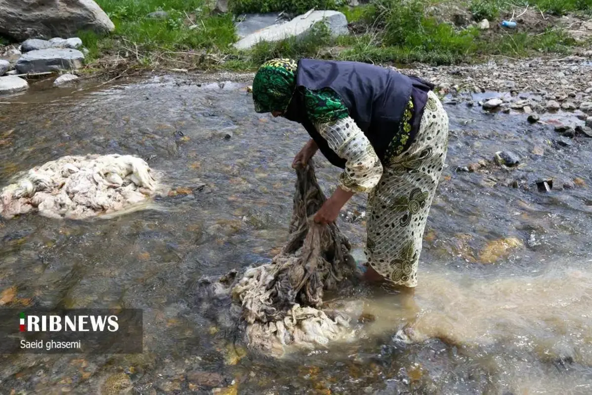 پشم شویی سنت کهن عشایر ارسباران