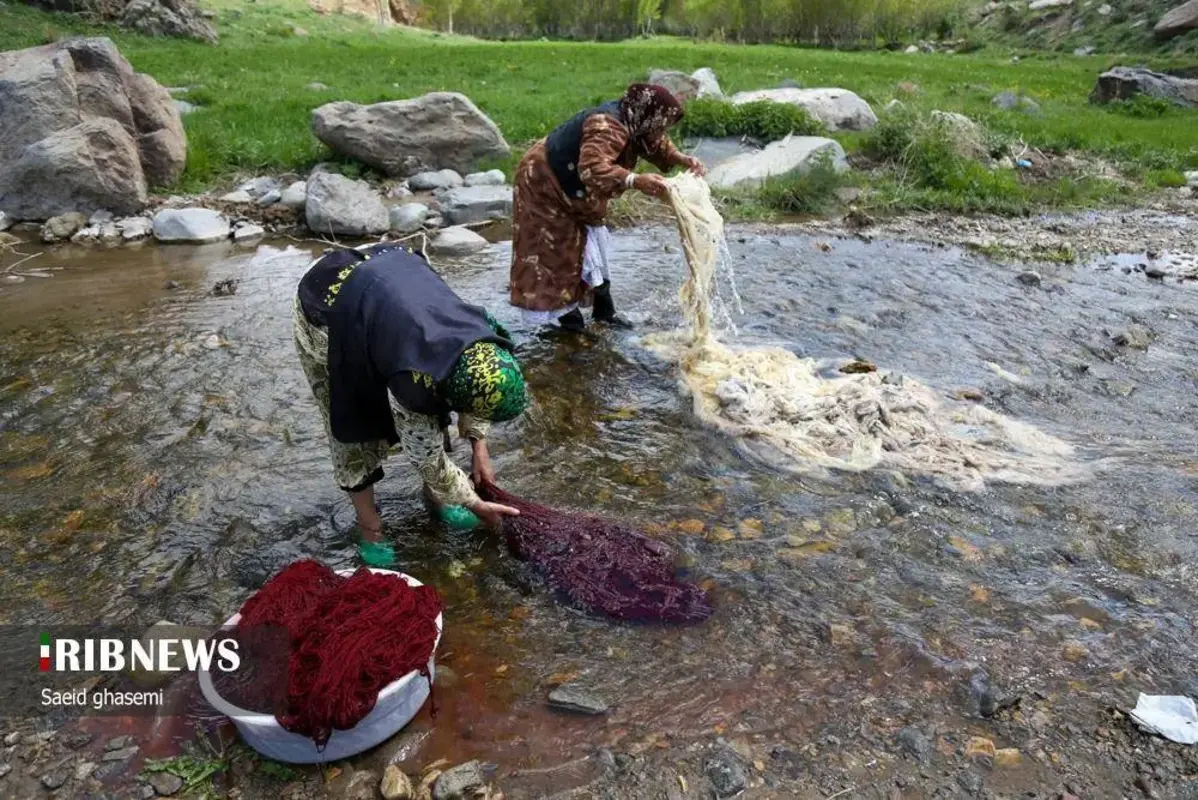 پشم شویی سنت کهن عشایر ارسباران