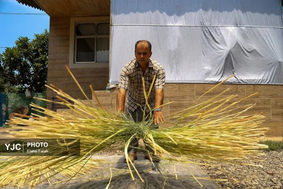 جادوی لی با هنرنمایی زنان گیلان