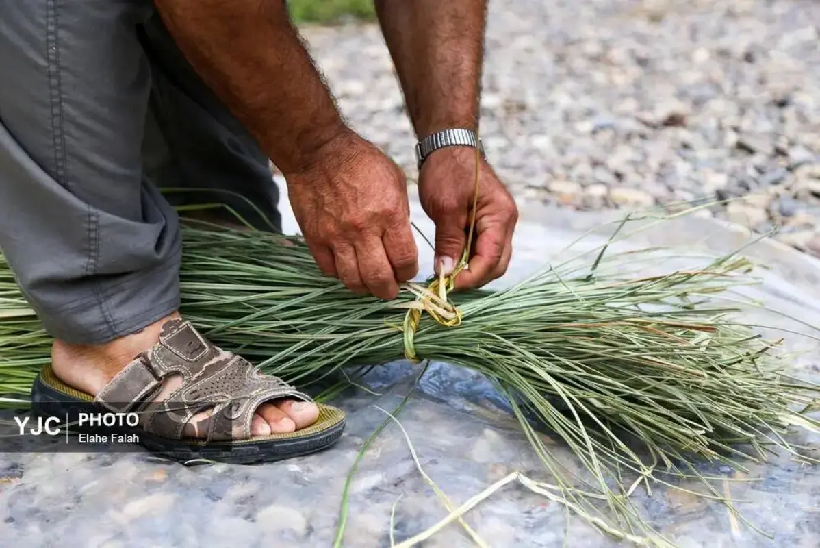 جادوی لی با هنرنمایی زنان گیلان