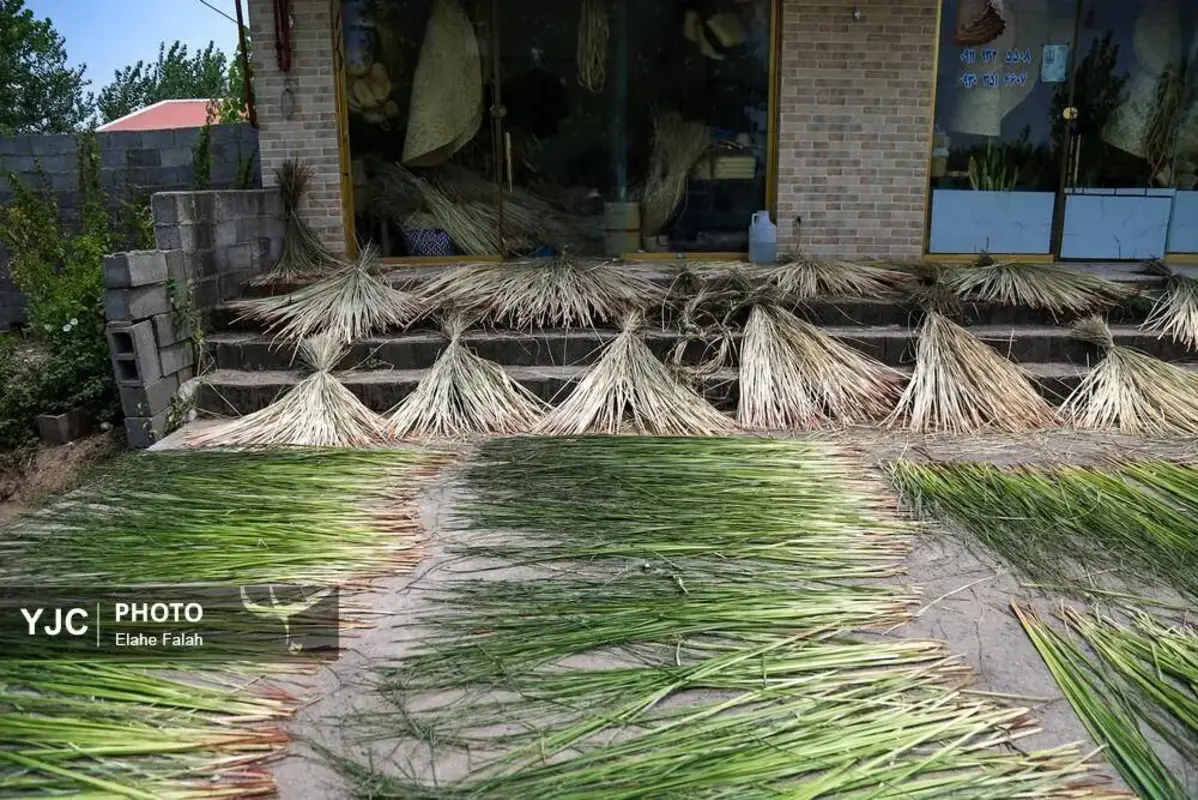 جادوی لی با هنرنمایی زنان گیلان