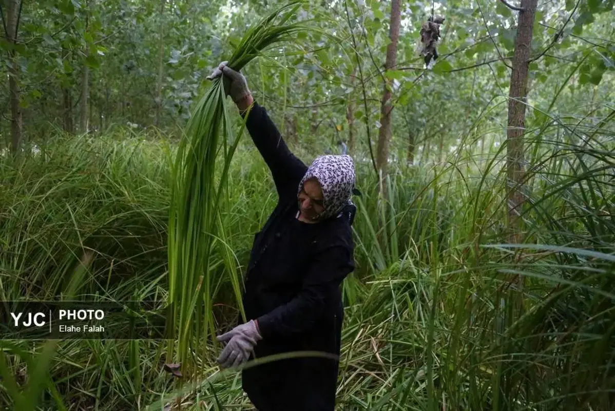 جادوی لی با هنرنمایی زنان گیلان