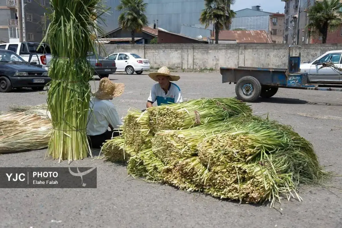 جادوی لی با هنرنمایی زنان گیلان