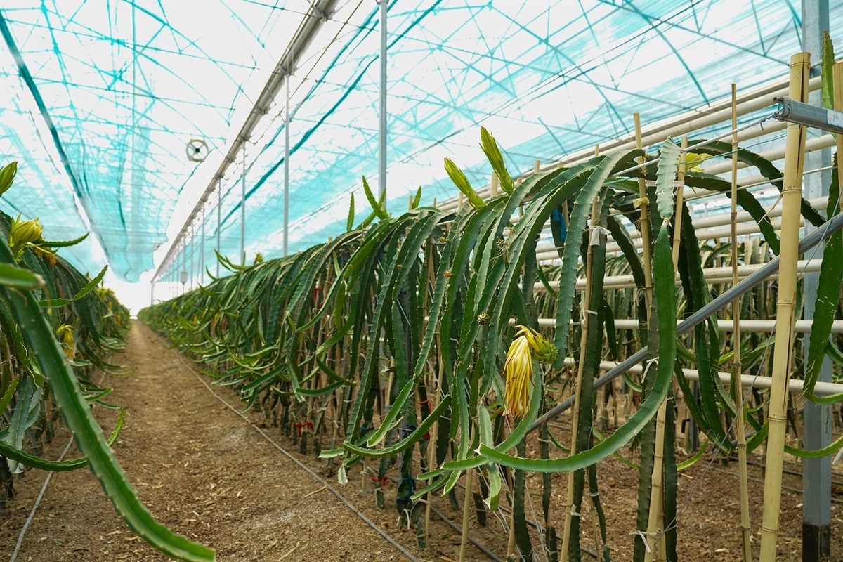 بازدید دبیر شورایعالی مناطق آزاد کشور و استاندار آذربایجان شرقی از پروژه گوزل طبیعت ارس