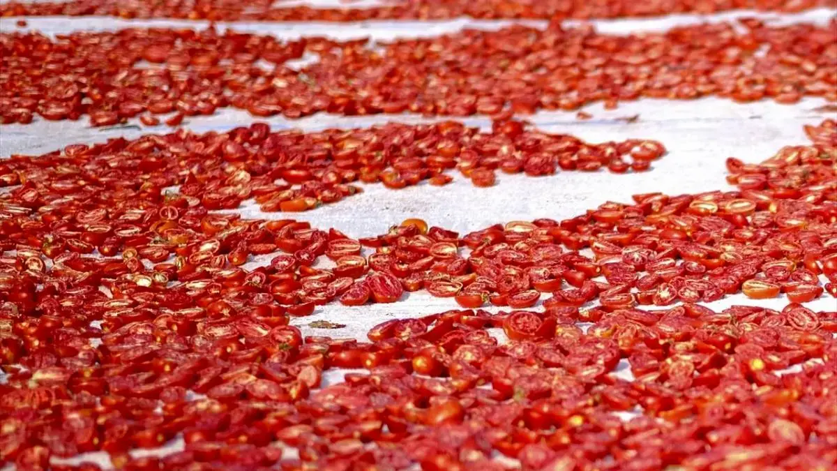 خشک‌کردن گوجه‌فرنگی در دیاربکر