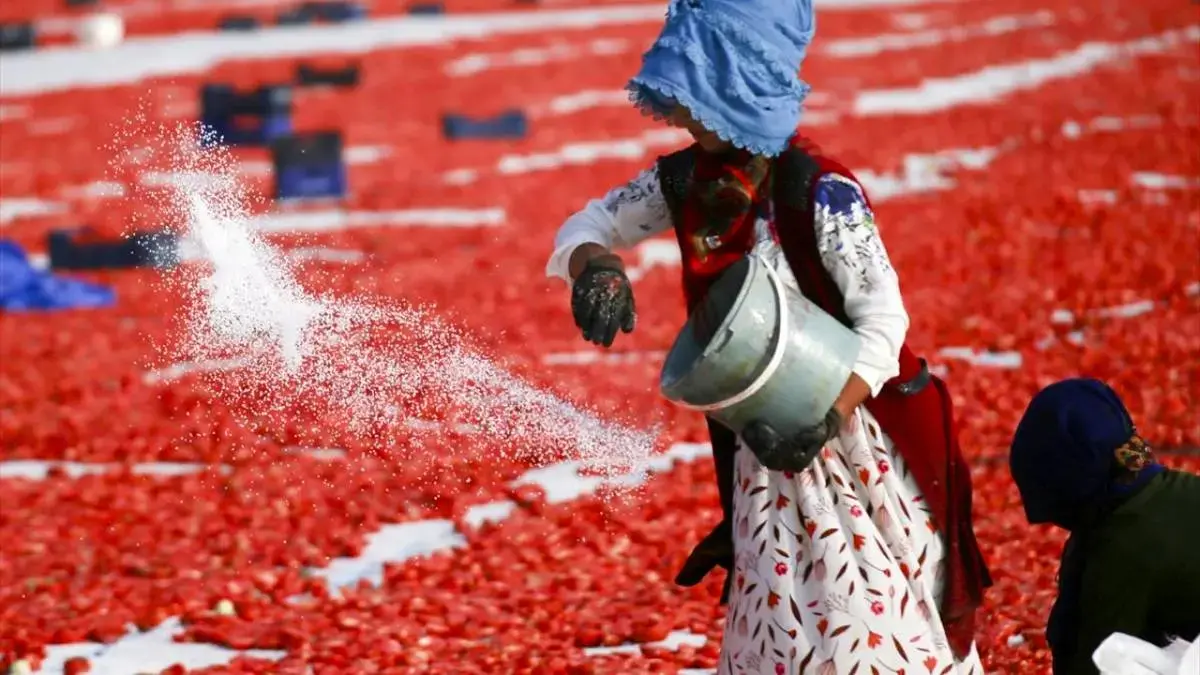 خشک‌کردن گوجه‌فرنگی در دیاربکر