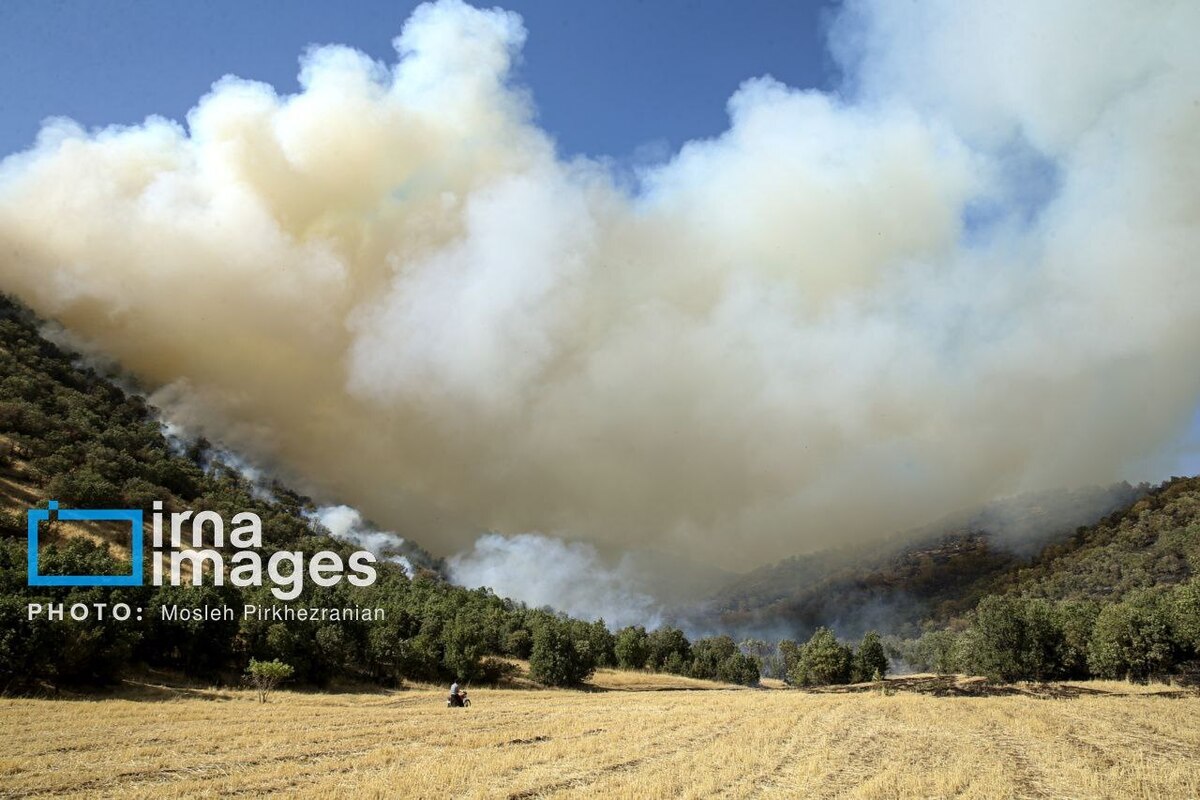 عکس/ ​​​​​​​آتش سوزی جنگل‌های بلوط مریوان