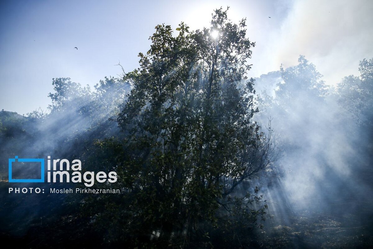 عکس/ ​​​​​​​آتش سوزی جنگل‌های بلوط مریوان