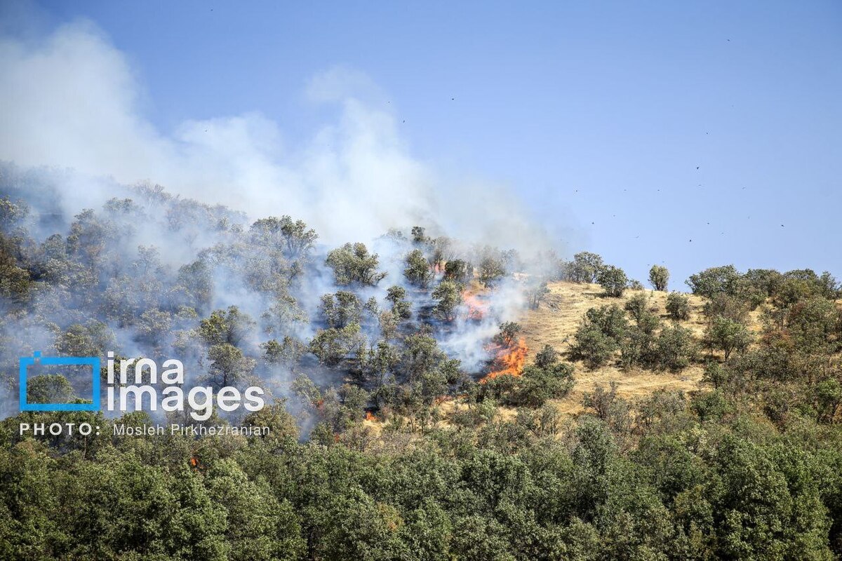 عکس/ ​​​​​​​آتش سوزی جنگل‌های بلوط مریوان