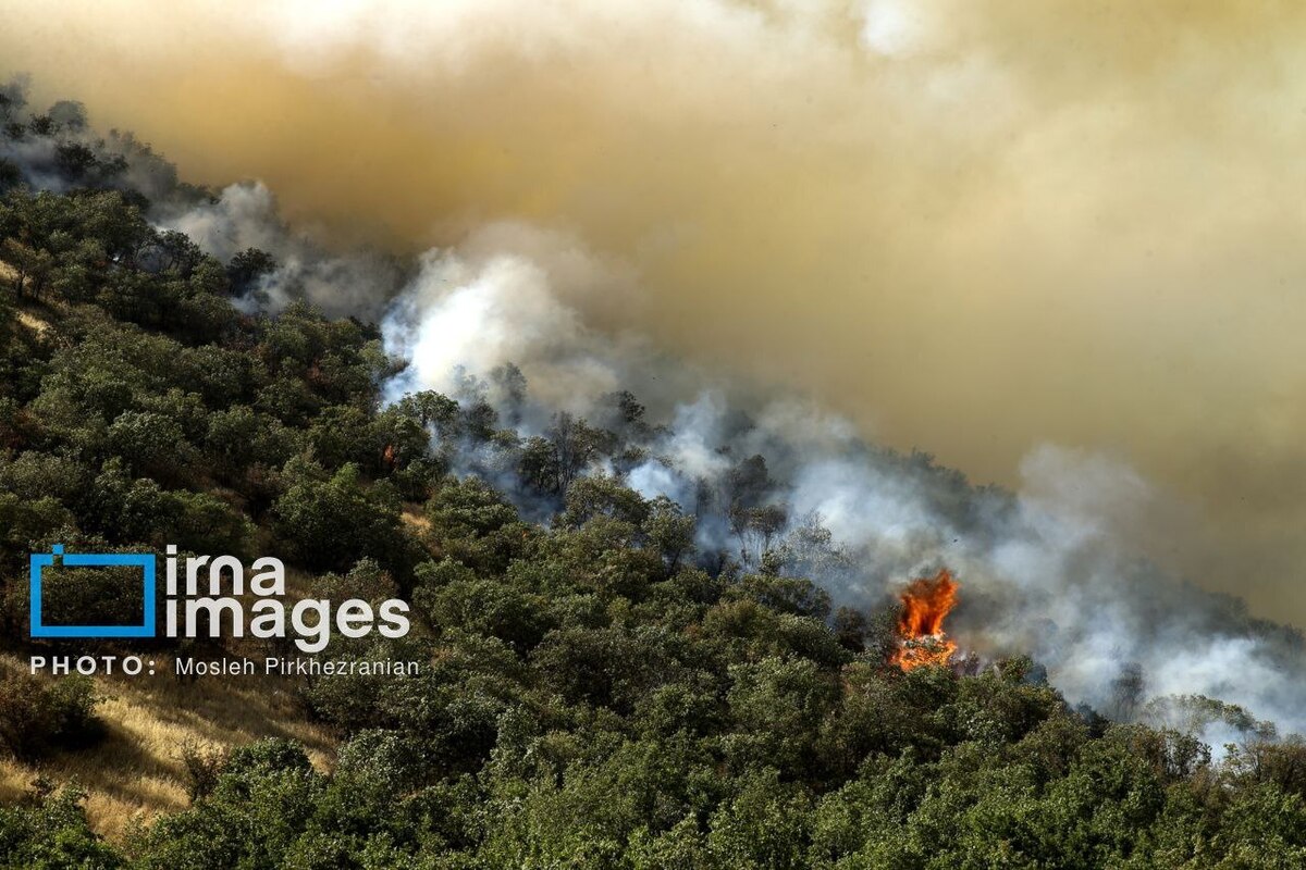 عکس/ ​​​​​​​آتش سوزی جنگل‌های بلوط مریوان