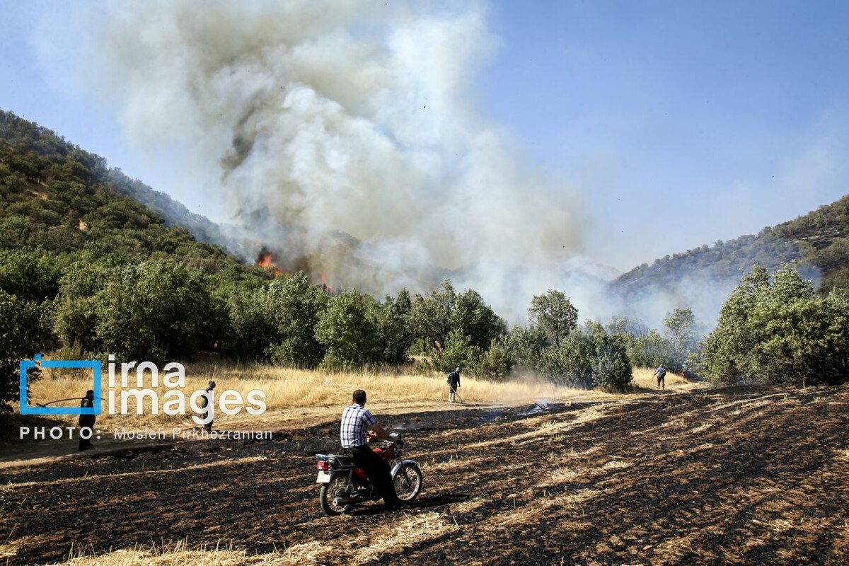 عکس/ ​​​​​​​آتش سوزی جنگل‌های بلوط مریوان