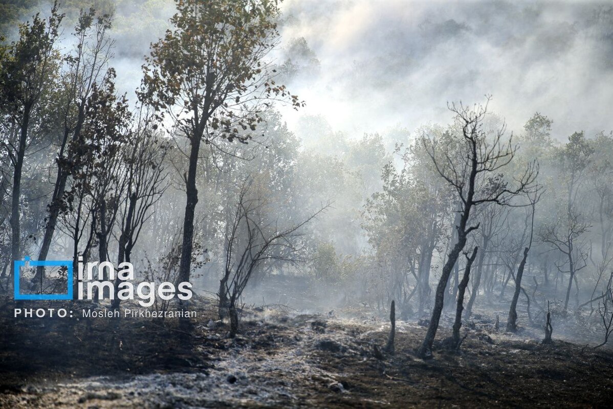 عکس/ ​​​​​​​آتش سوزی جنگل‌های بلوط مریوان