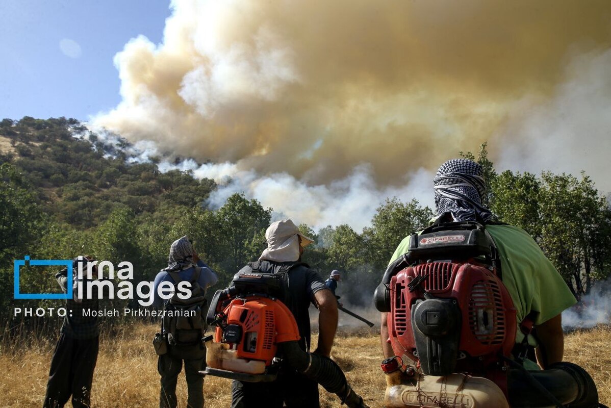 عکس/ ​​​​​​​آتش سوزی جنگل‌های بلوط مریوان