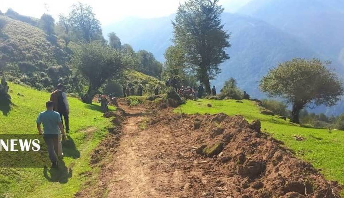 کشف جاده غیرمجاز ۸ کیلومتری در جنگل‌های گیلان