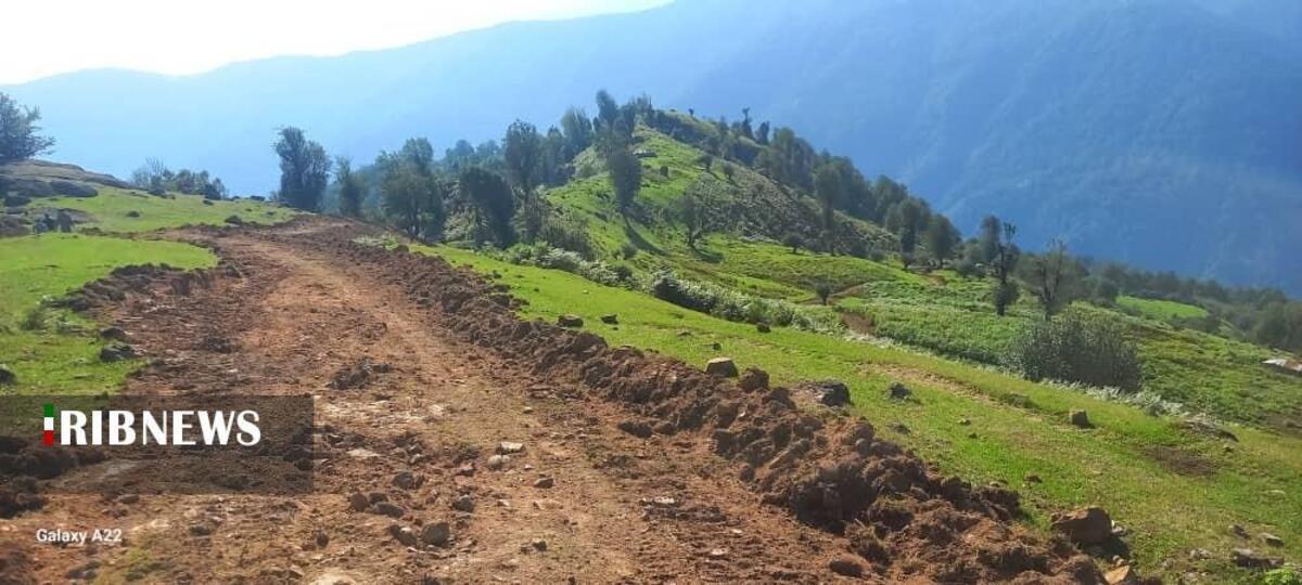 کشف جاده غیرمجاز ۸ کیلومتری در جنگل‌های گیلان