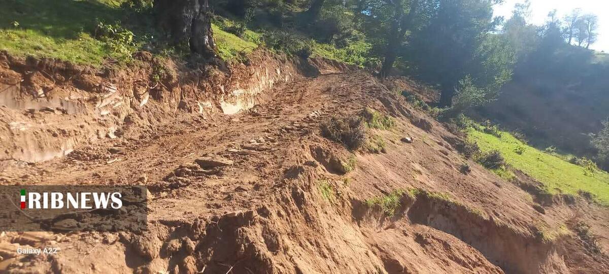 کشف جاده غیرمجاز ۸ کیلومتری در جنگل‌های گیلان