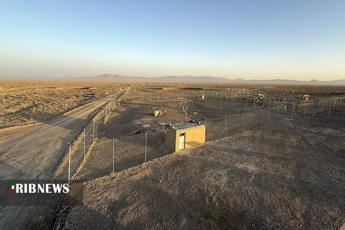 یوزپلنگ‌های پارک ملی توران