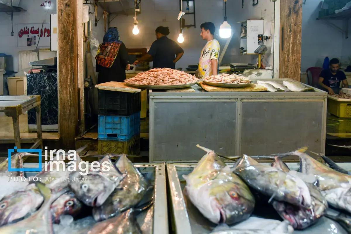 فروش میگو روی لنج؛ طعم دریا