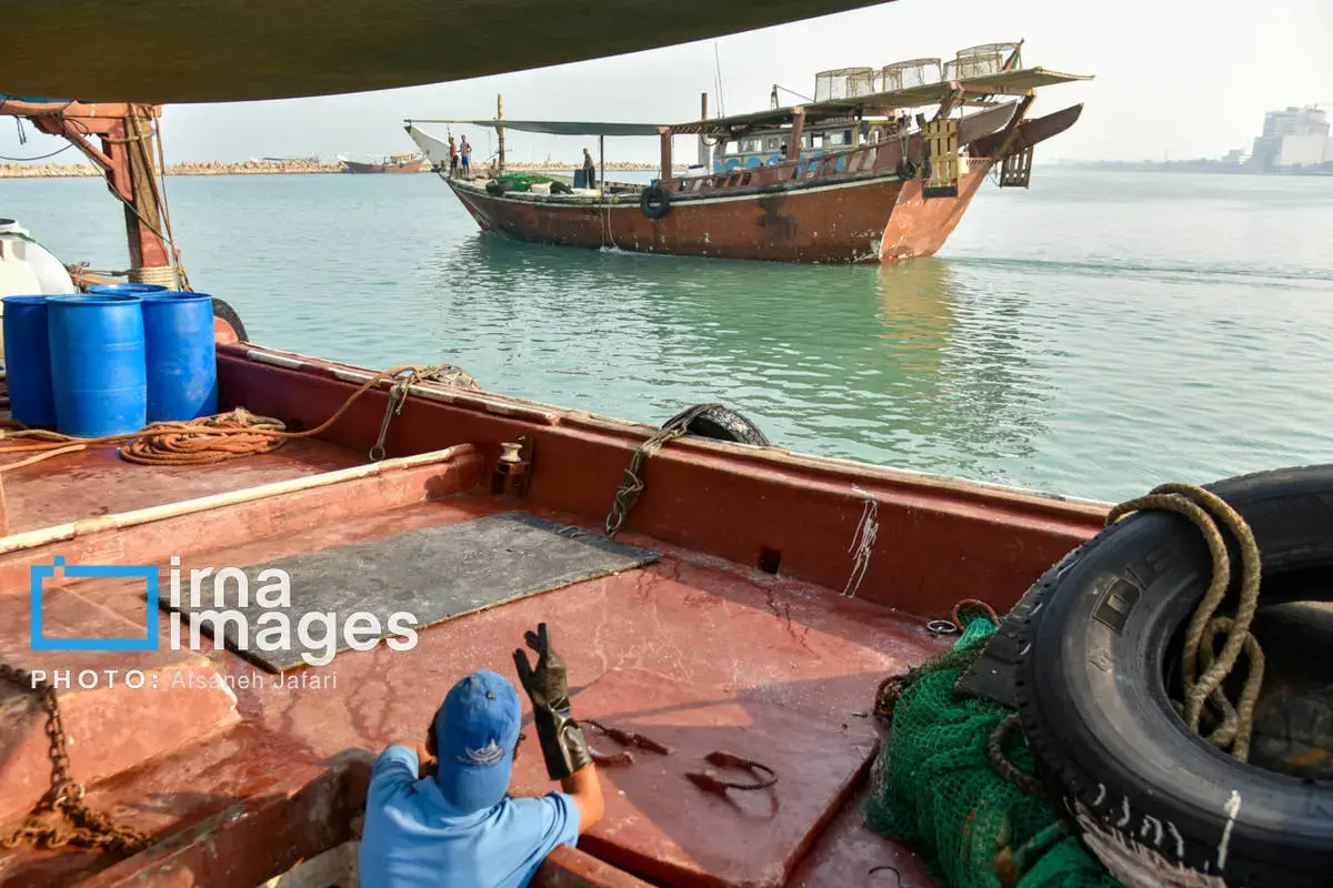 فروش میگو روی لنج؛ طعم دریا