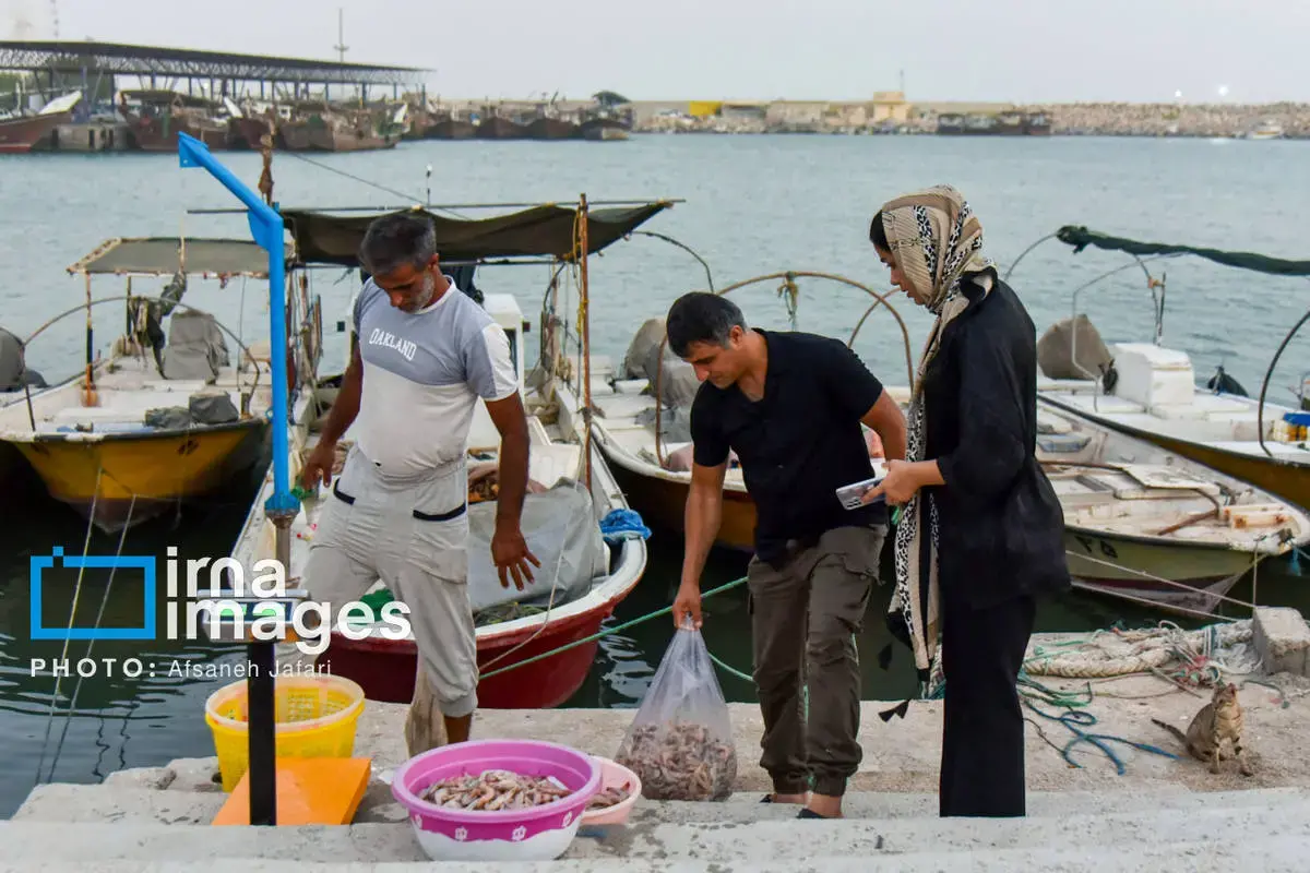 فروش میگو روی لنج؛ طعم دریا
