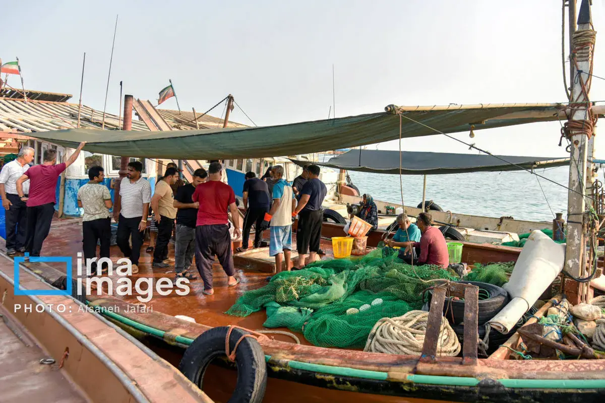 فروش میگو روی لنج؛ طعم دریا