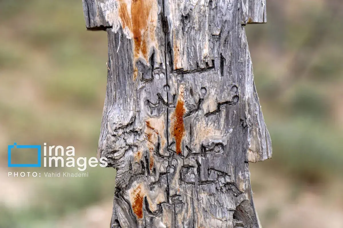 قبرستان مرموز باغلق در جرگلان