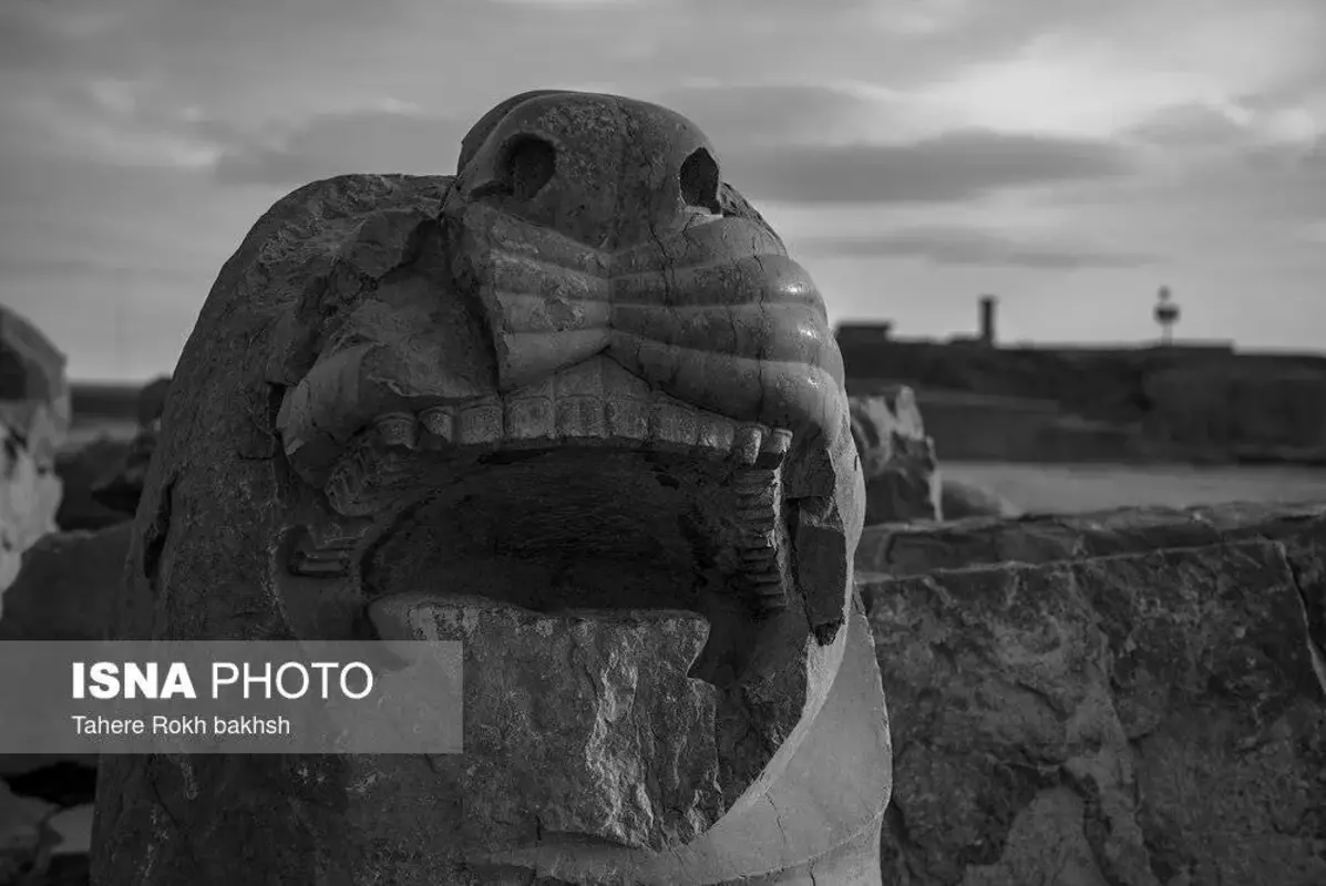 سیاه و سفید تخت‌جمشید