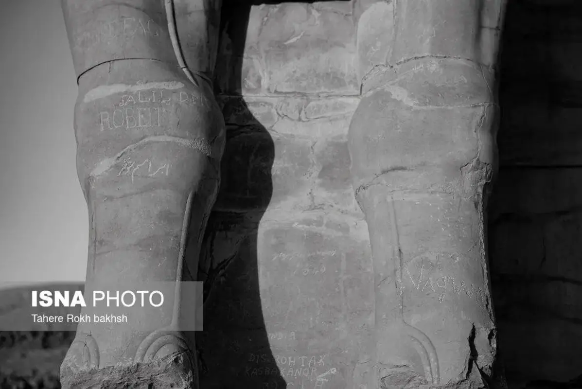 سیاه و سفید تخت‌جمشید