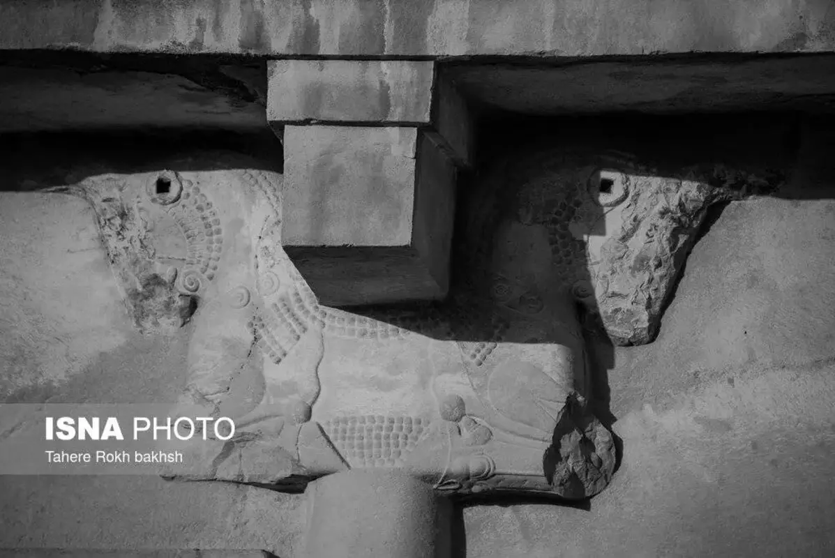 سیاه و سفید تخت‌جمشید