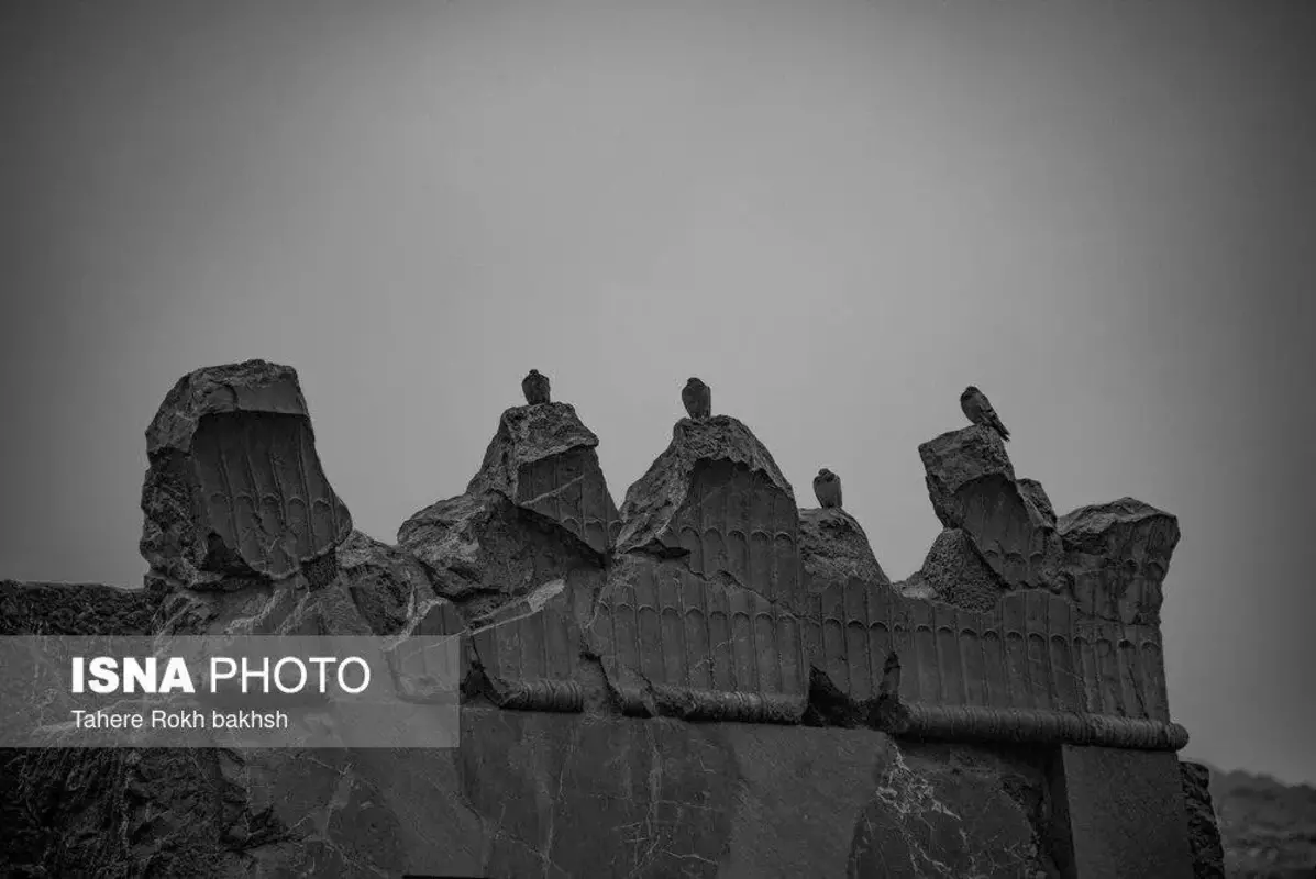 سیاه و سفید تخت‌جمشید