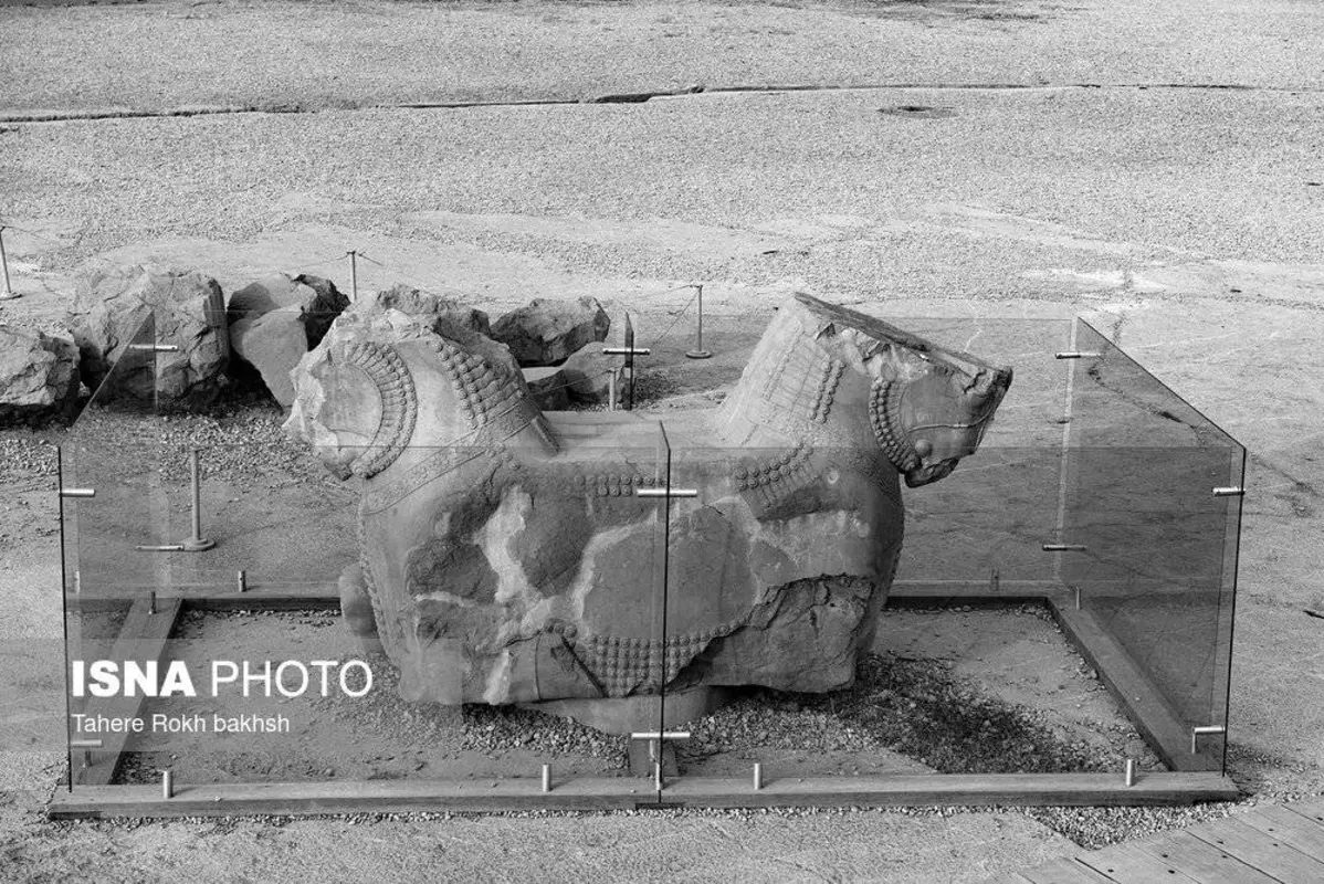 سیاه و سفید تخت‌جمشید