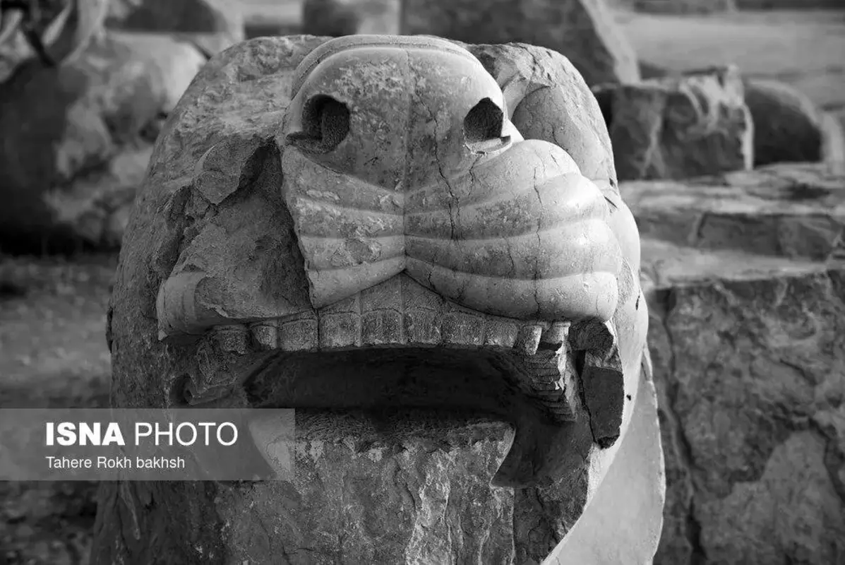 سیاه و سفید تخت‌جمشید