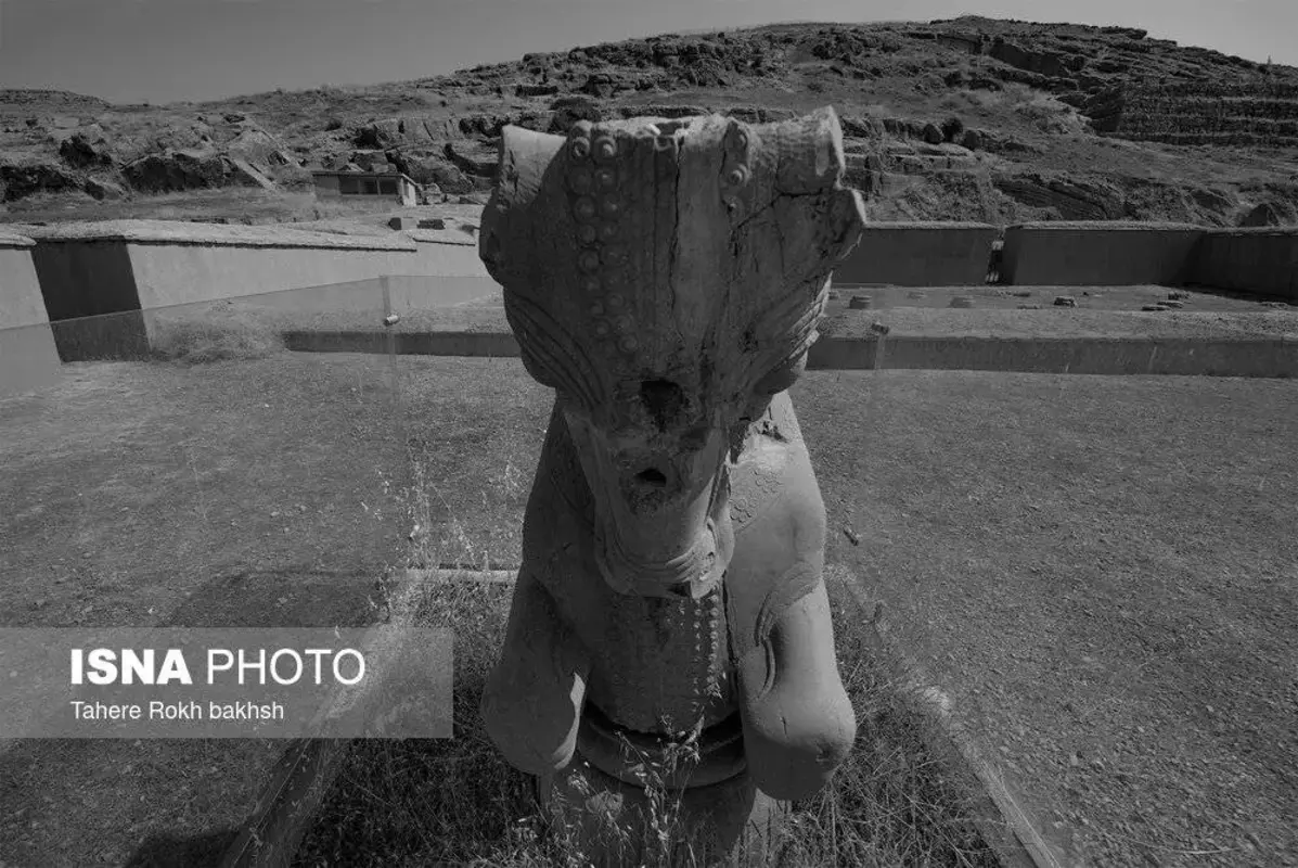 سیاه و سفید تخت‌جمشید