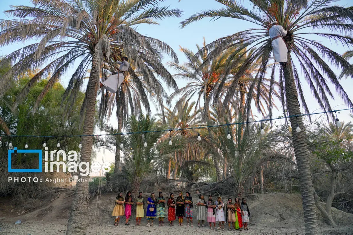 جشنواره نوروز زراعی در روستای دیرستان