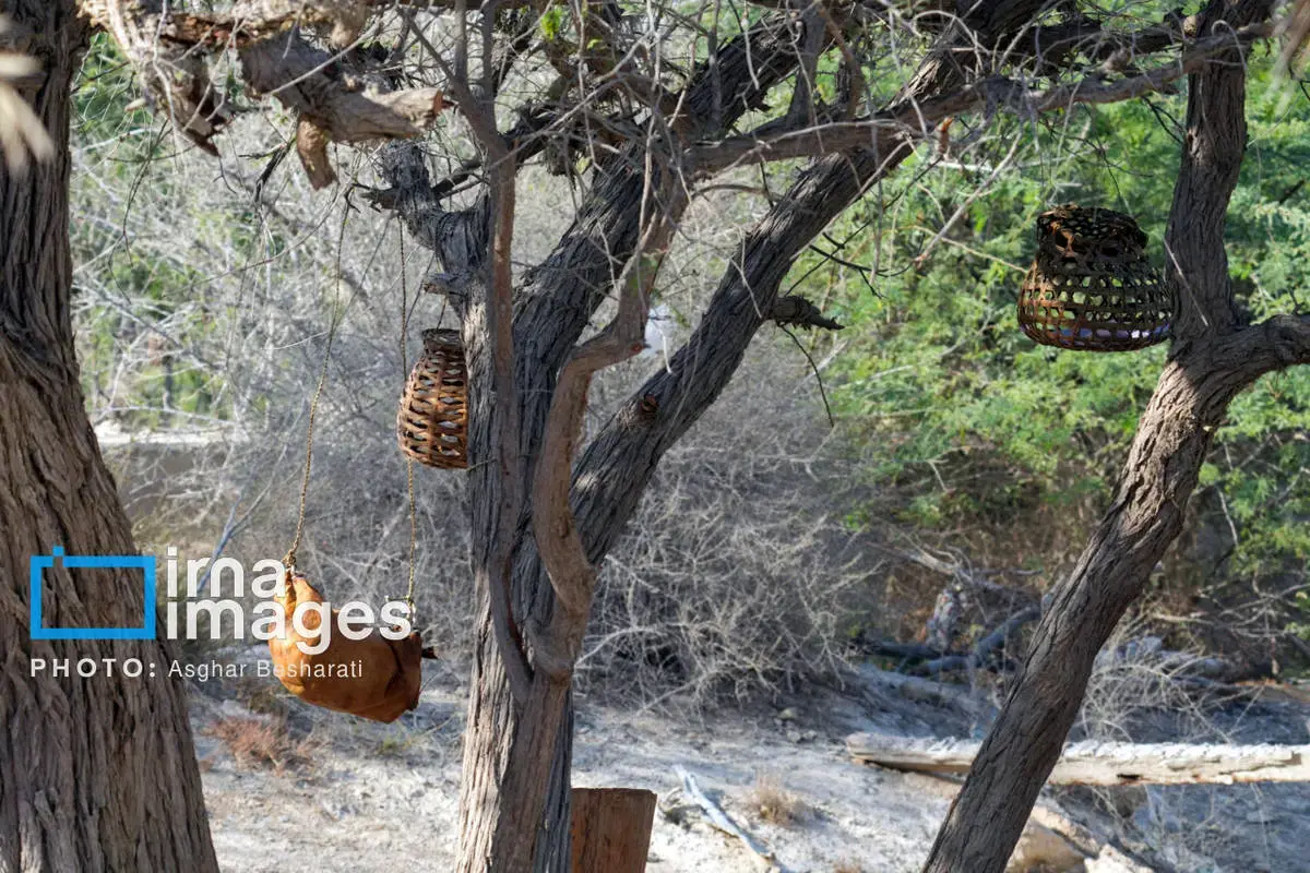 جشنواره نوروز زراعی در روستای دیرستان