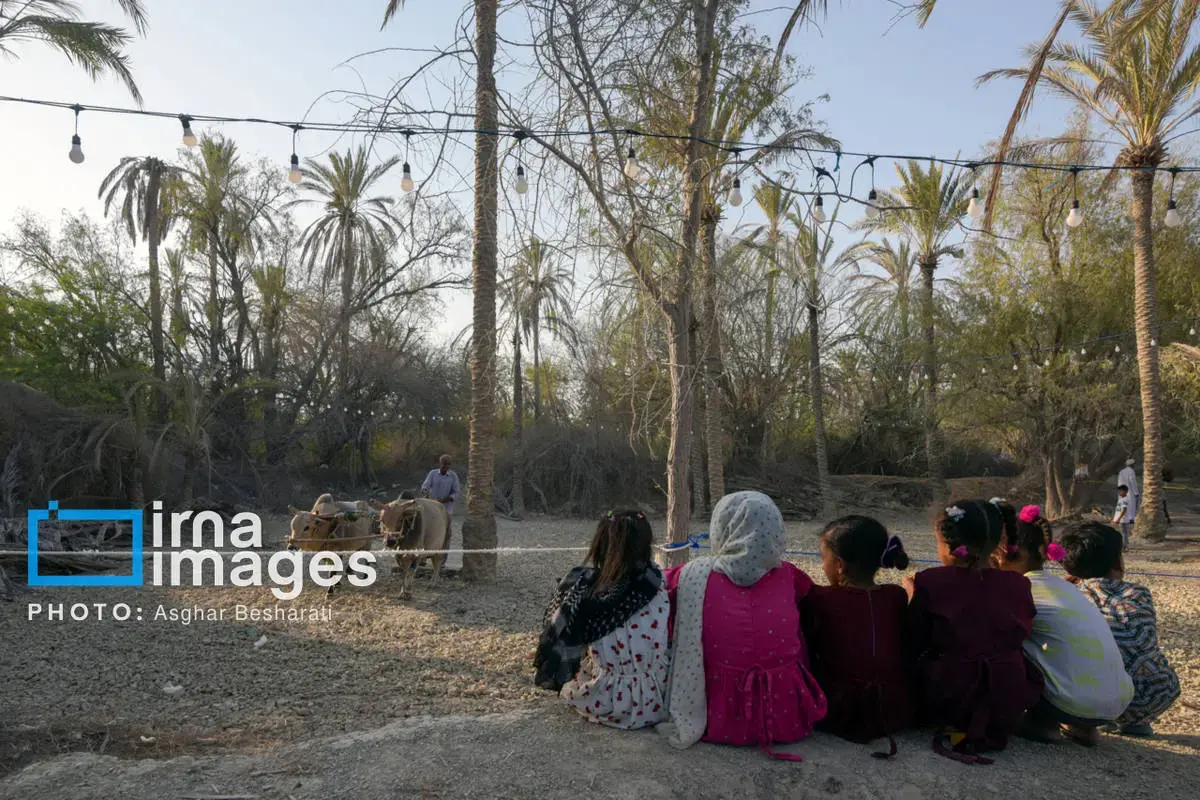 جشنواره نوروز زراعی در روستای دیرستان