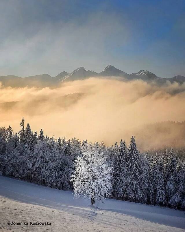 معرفی فینالیست‌های مسابقه عکاسی آب‌وهوا ۲۰۲۵