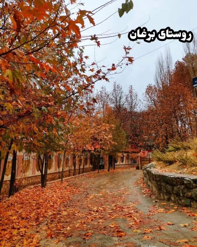 زیبایی‌های پاییز تهران در ۸ مکان دیدنی